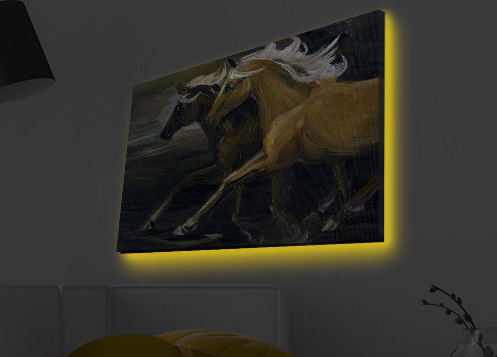 Zidna slika sa LED osvetljenjem 4570MDACT-042, 45x70 cm