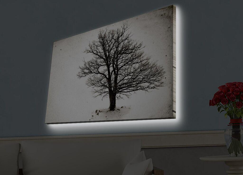 Zidna slika sa LED osvetljenjem 4570HDACT-056, 45x70 cm