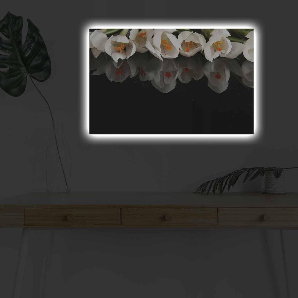 Zidna slika sa LED osvjetljenjem 4570DHDACT-079, 45x70 cm