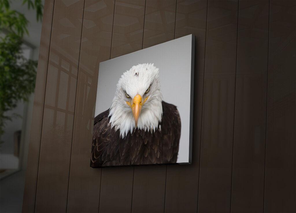 Zidna slika sa LED osvjetljenjem 4040IACT-41, 40x40 cm