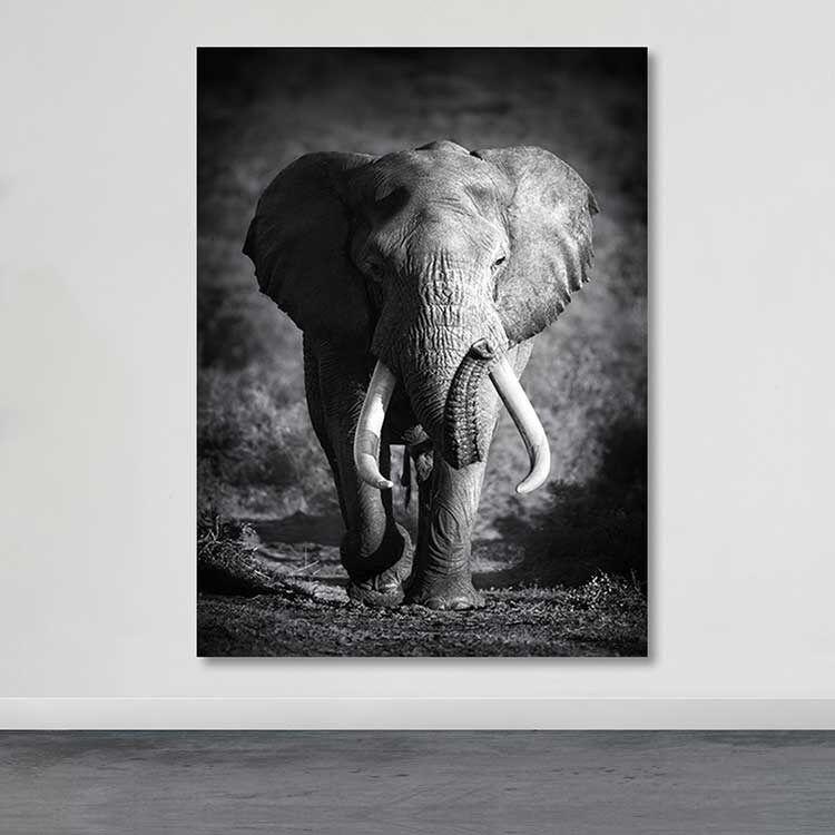 Slika Wallity DEV02259100140, 100x140 cm