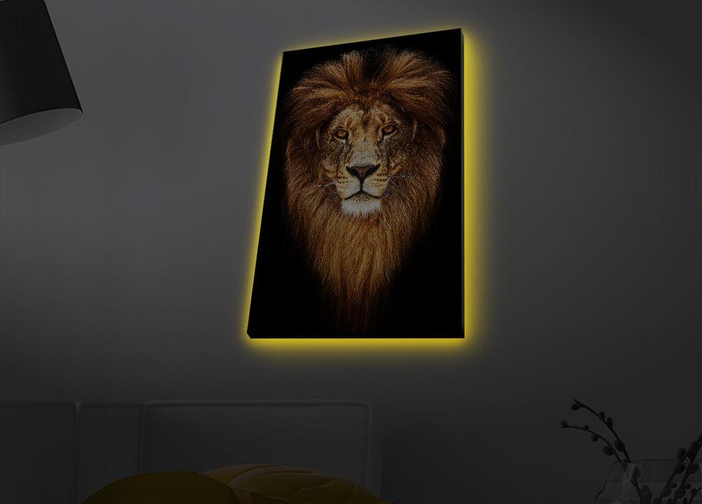 Zidna slika sa LED osvjetljenjem 4570MDACT-078, 45x70 cm