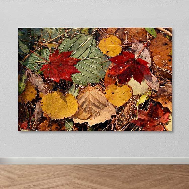 Slika Wallity DEV03619100140, 100x140 cm