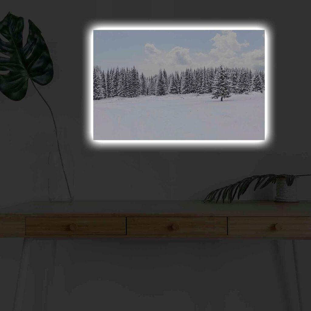 Zidna slika sa LED osvjetljenjem 4570KARDACT - 015, 45x70 cm