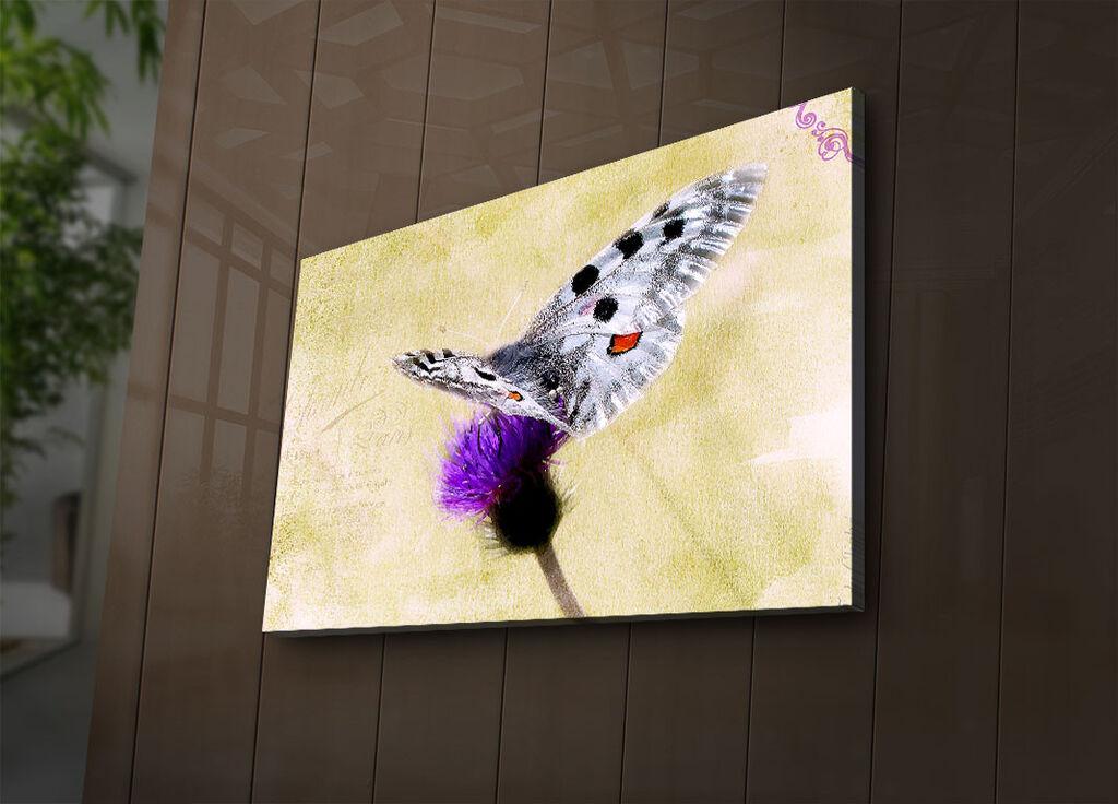 Zidna slika sa LED osvetljenjem 4570IACT-67, 45x70 cm