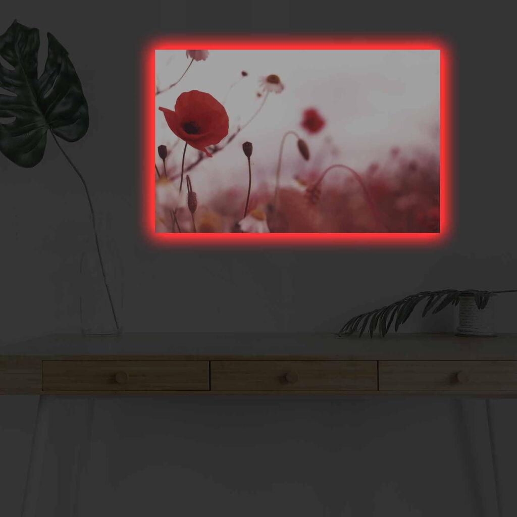 Zidna slika sa LED osvetljenjem 4570DHDACT-140, 45x70 cm
