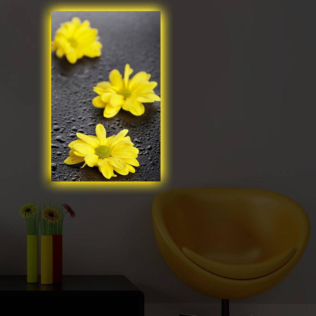 Zidna slika sa LED osvetljenjem 4570DACT-48, 45x70 cm