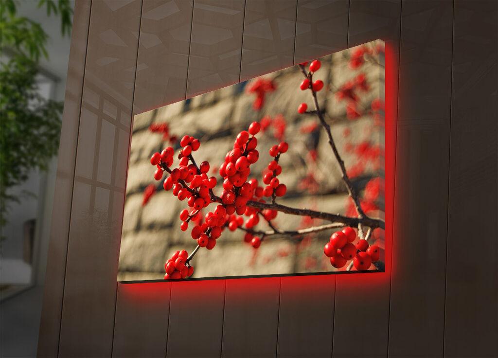 Zidna slika sa LED osvetljenjem 4570DACT-73, 45x70 cm