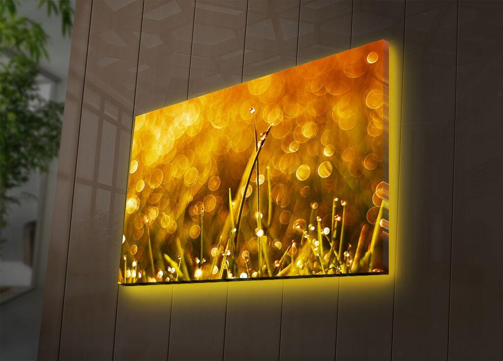 Zidna slika sa LED osvetljenjem 4570DACT-66, 45x70 cm