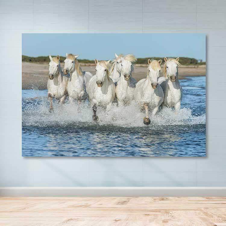 Slika za zid DEV03219100140, 100x140 cm