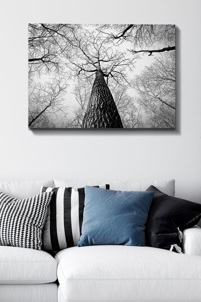 Wallity Slika na platnu Tablo-112, 70x100 cm