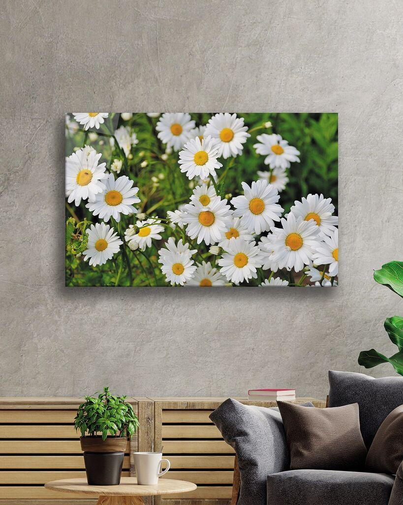 Slika Wallity 5192, 70x110 cm