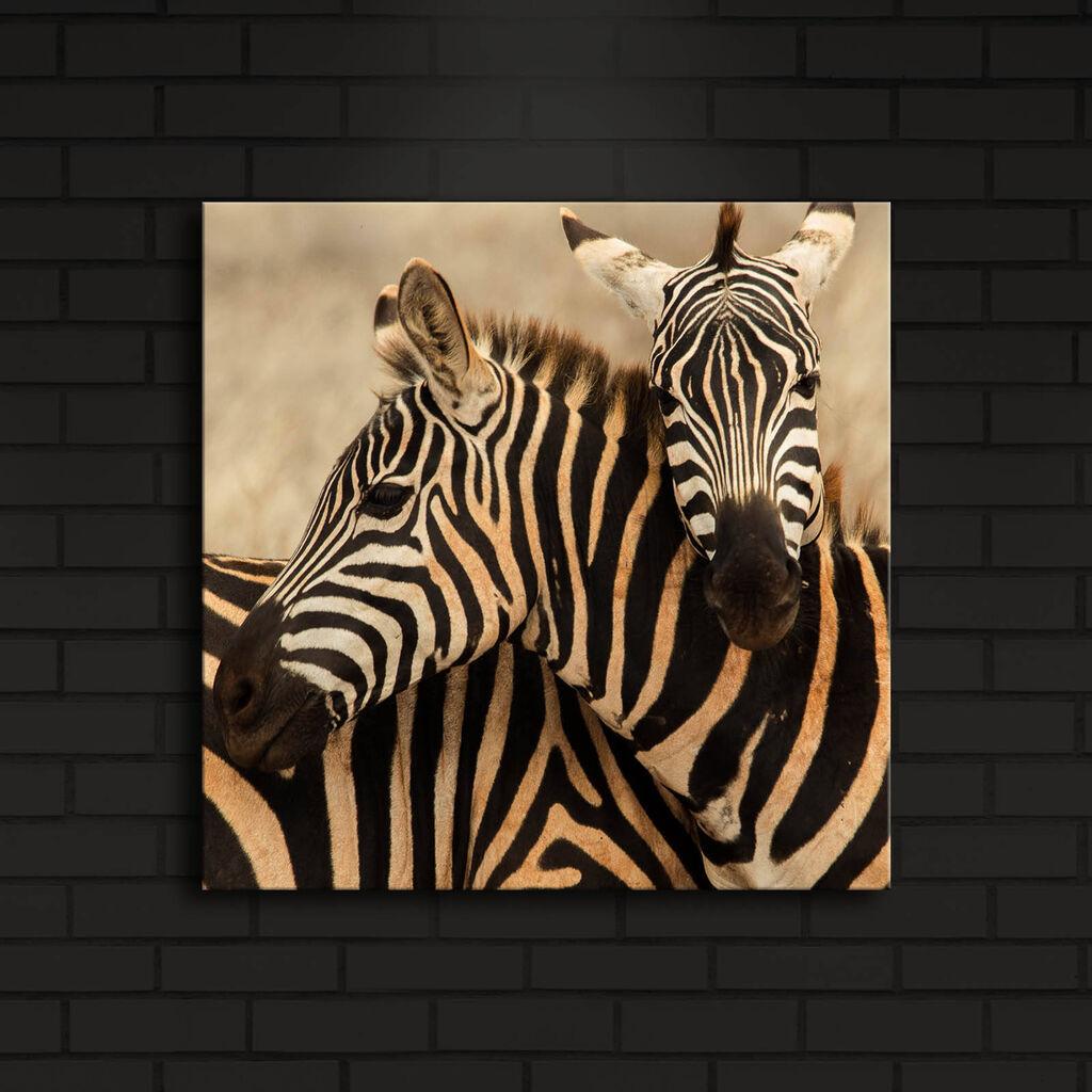 Zidna slika sa LED osvetljenjem 4040IACT-8, 40x40 cm