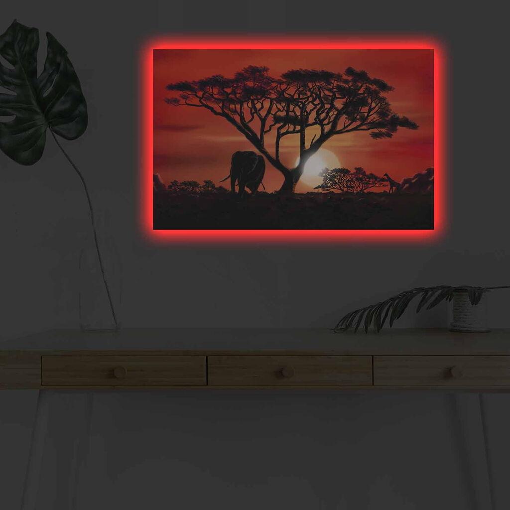 Zidna slika sa LED osvjetljenjem 4570DHDACT-053, 45x70 cm