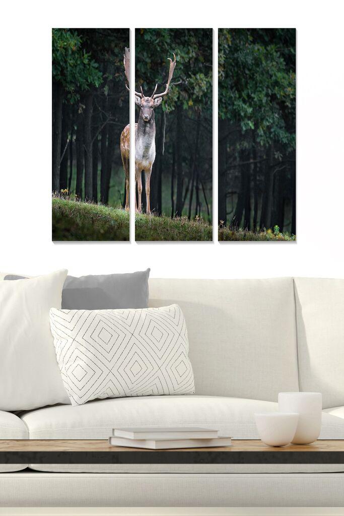 Set slika Wallity MDF984573, 3 dijela