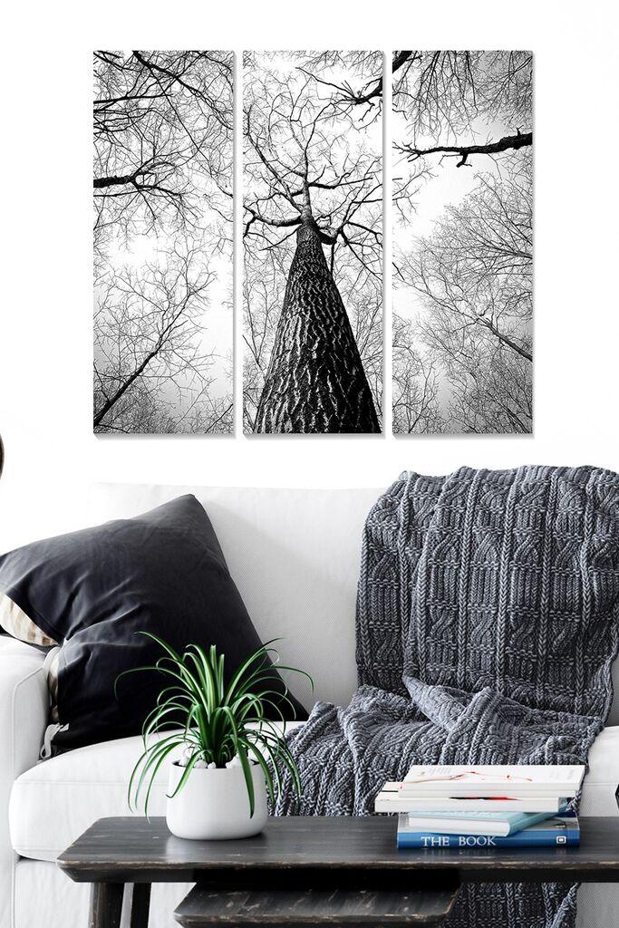 Set slika Wallity MDF238379, 3 dijela