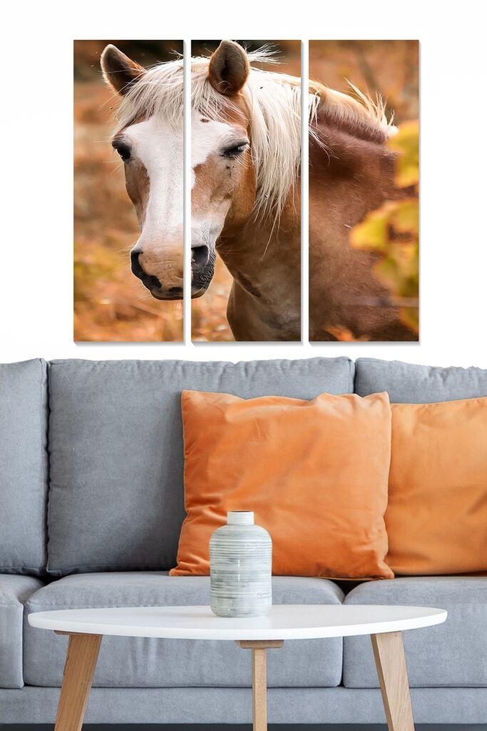 Wallity Set slika MDF3204312, 3 dijela