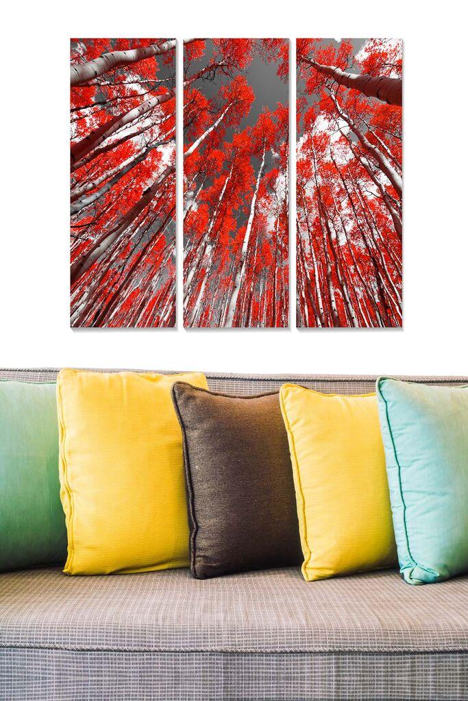 Set slika Wallity MDF6603389, 3 dijela