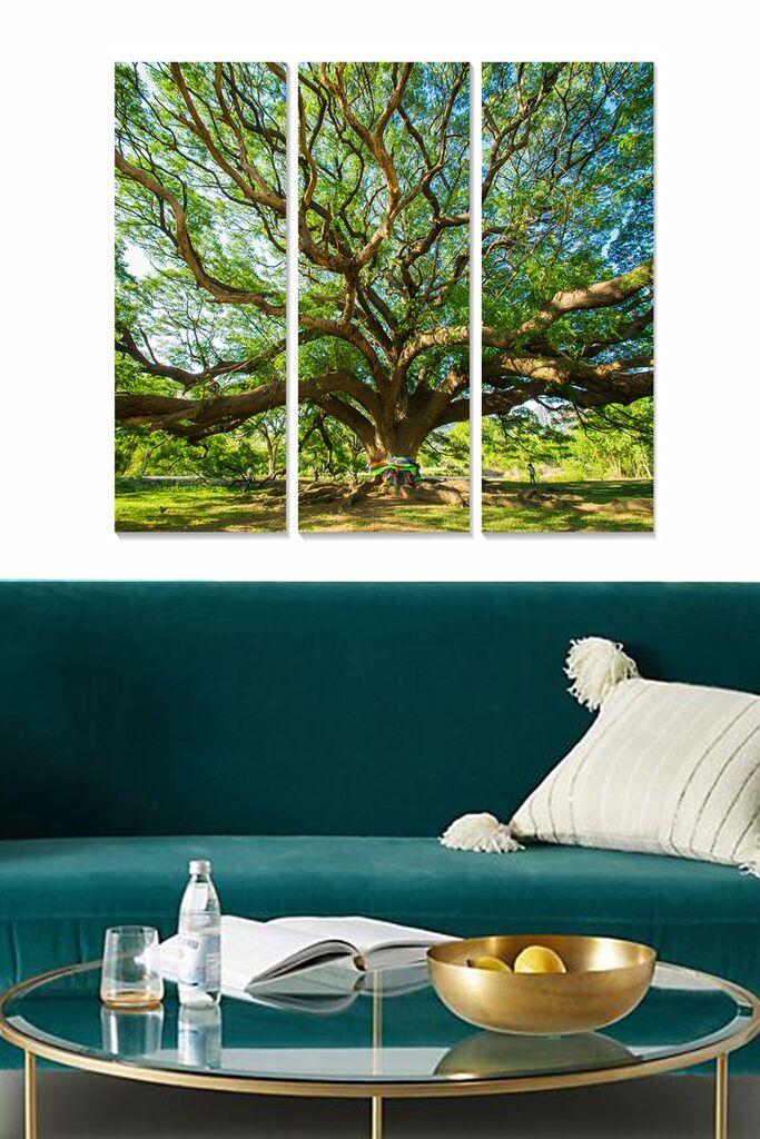 Set slika Wallity MDF283263380, 3 dijela