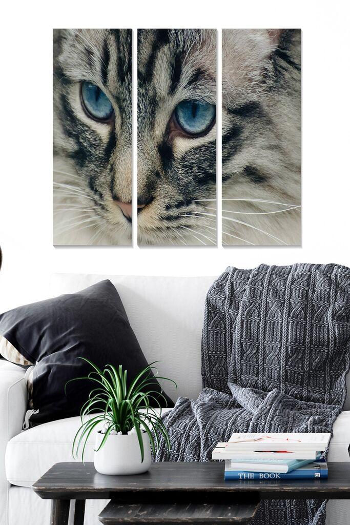 Set slika Wallity MDF164693, 3 dijela