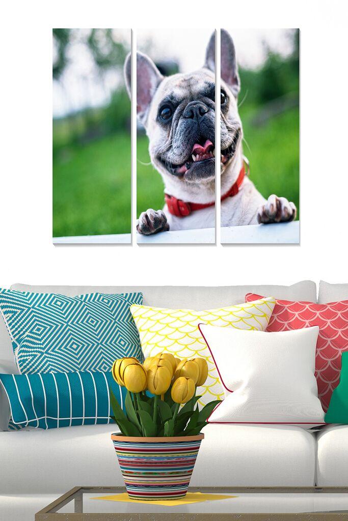 Set slika Wallity MDF1482630, 3 dijela