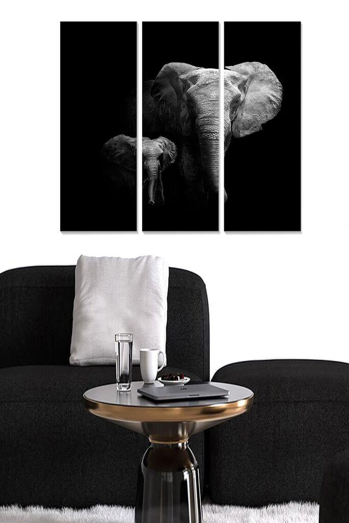 Wallity Set slika MDF171071117, 3 dijela