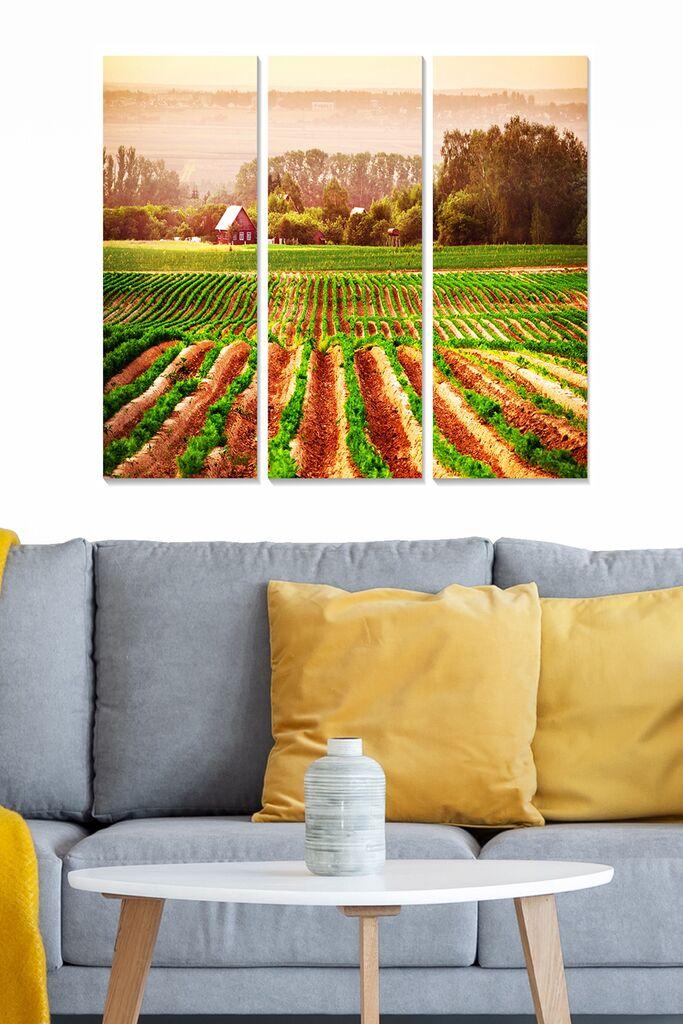 Set slika Wallity MDF67319566, 3 dijela