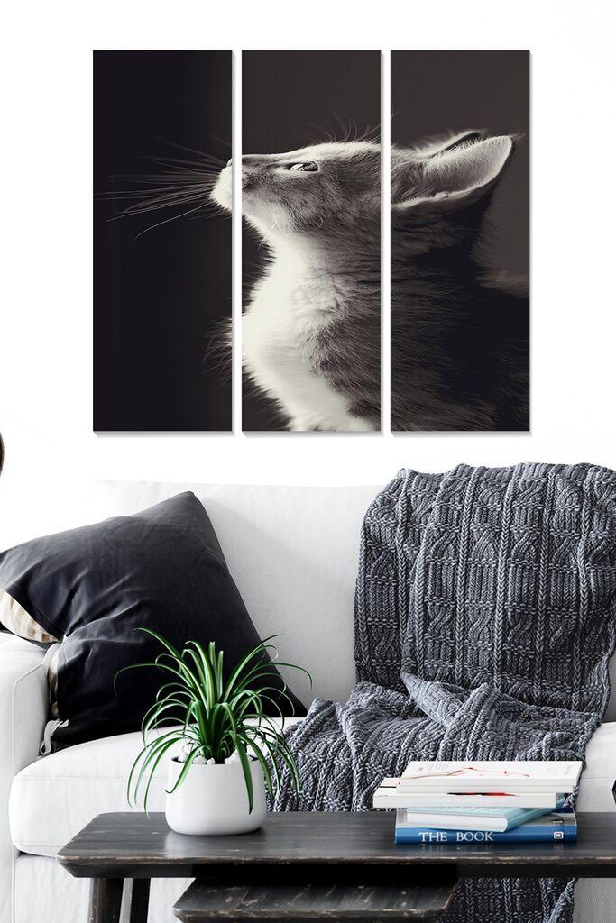 Set slika Wallity MDF3210439, 3 dijela