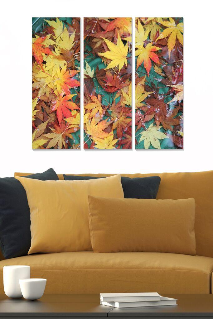 Set slika Wallity MDF2550453, 3 dijela