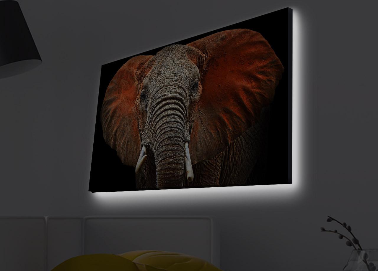 Slika na platnu Wallity sa LED osvetljenjem 45x70cm