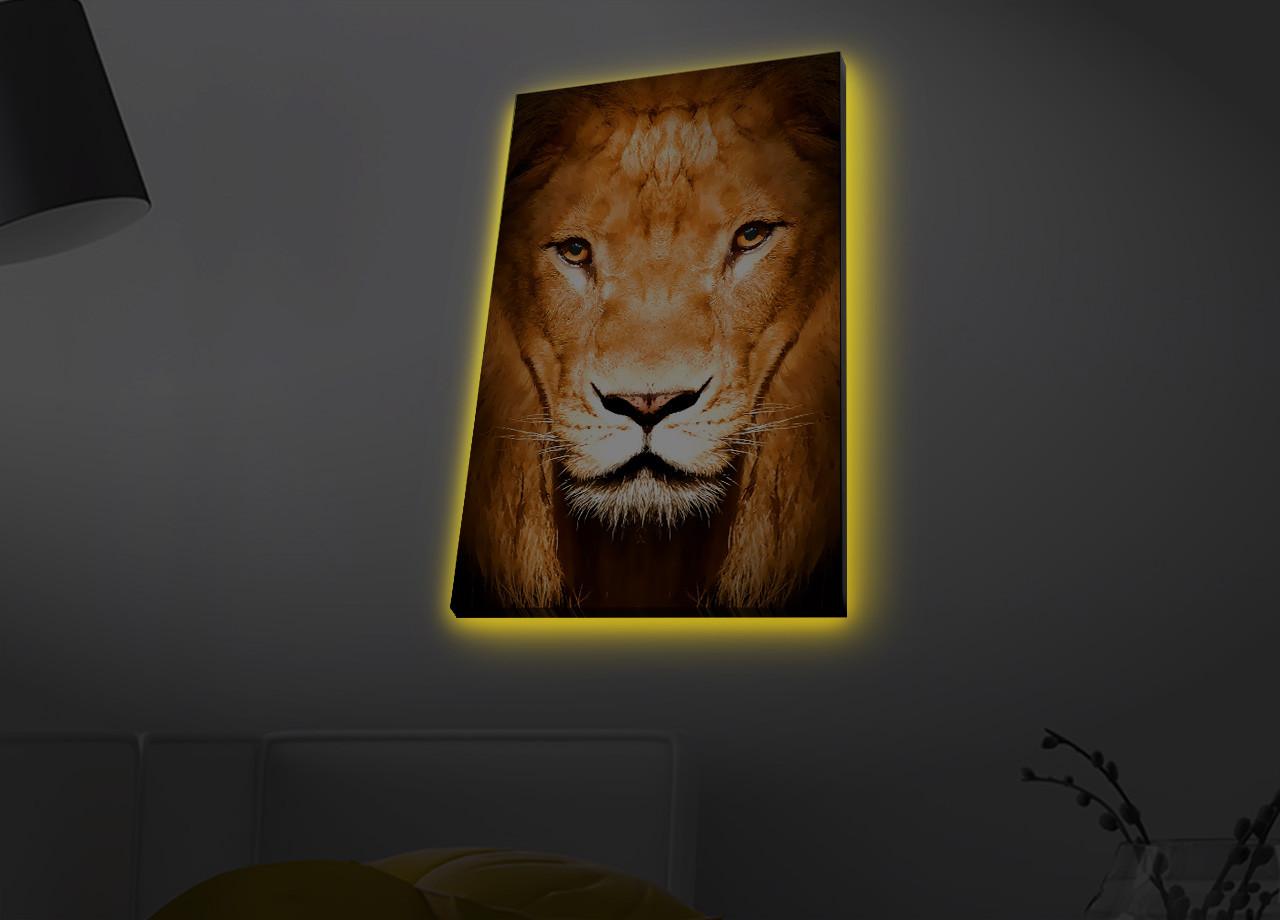 Slika na platnu Wallity sa LED osvetljenjem 45x70cm