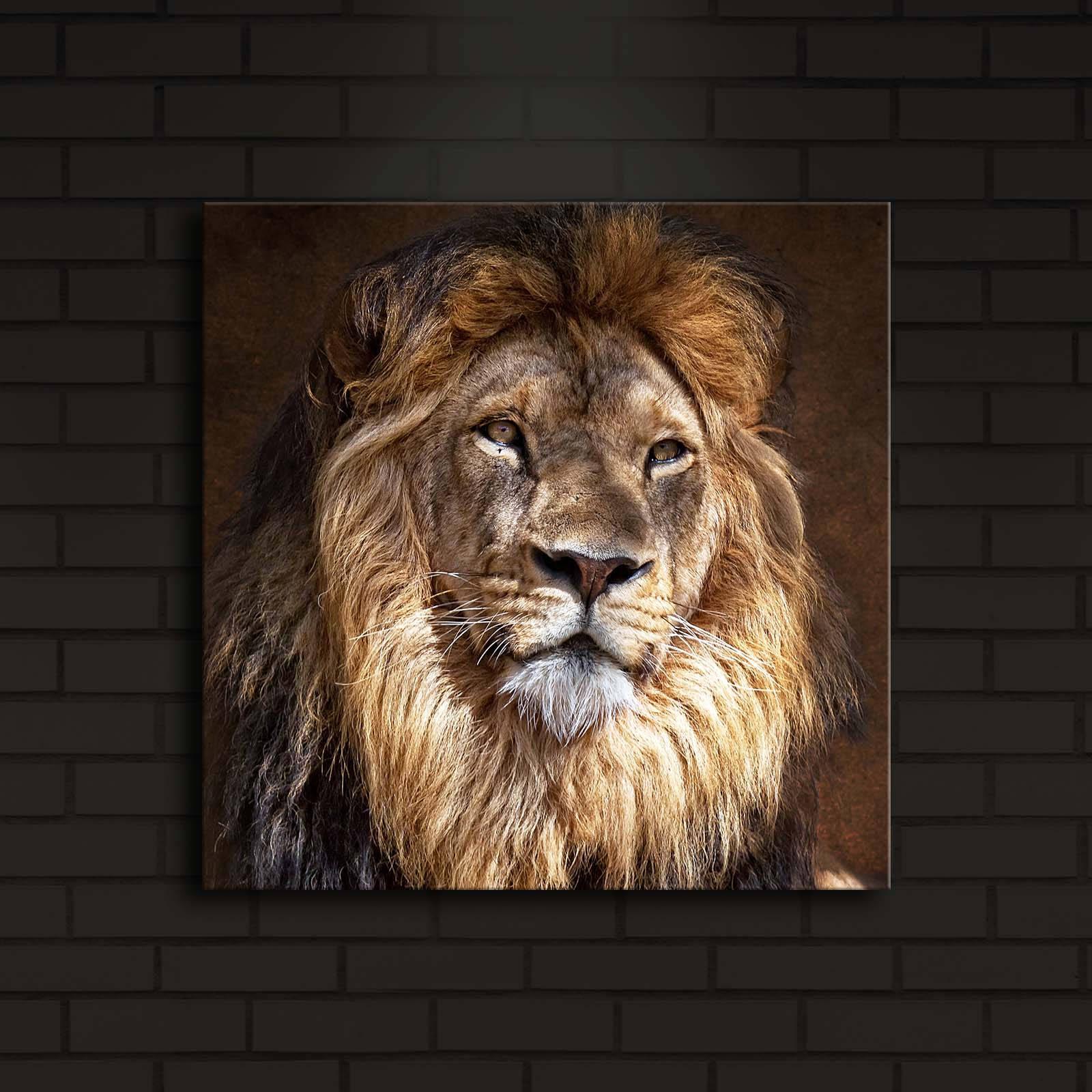 Slika na platnu Wallity sa LED osvetljenjem 40x40cm