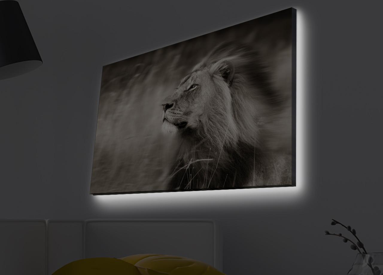 Slika na platnu Wallity sa LED osvetljenjem 45x70cm