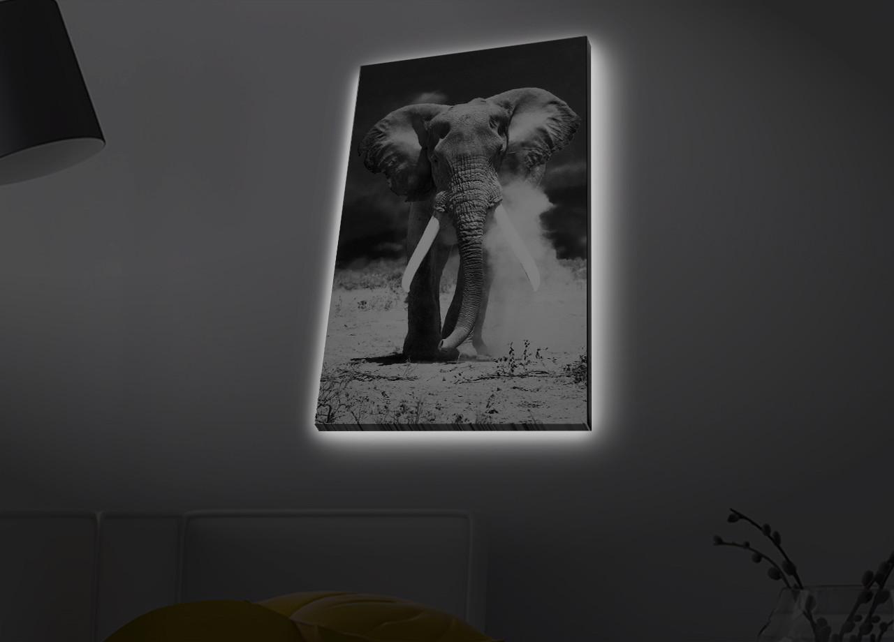 Slika na platnu Wallity sa LED osvetljenjem 45x70cm