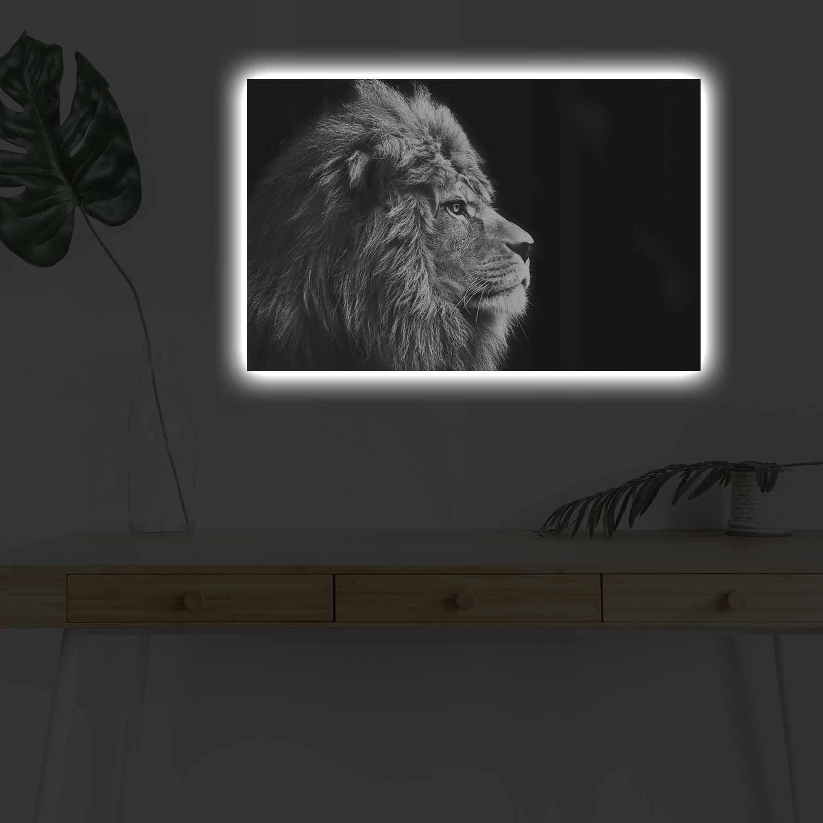 Slika na platnu Wallity sa LED osvetljenjem 45x70cm