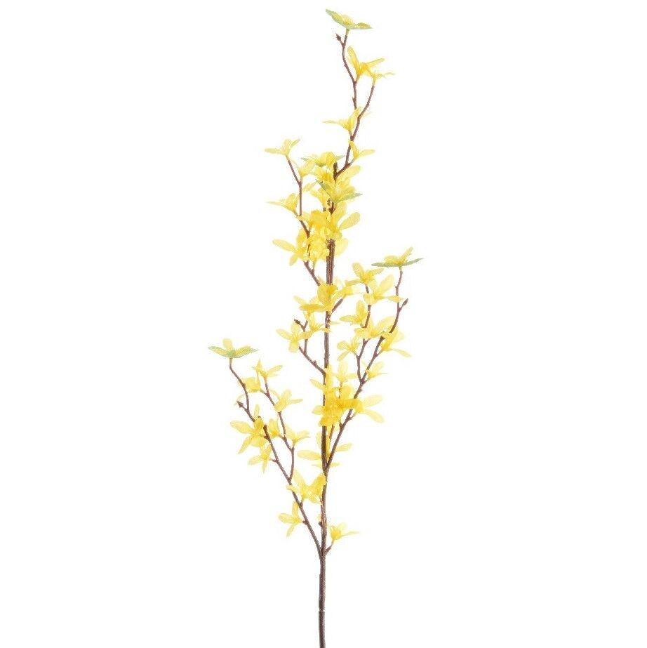 Dekorativno cvijeće, Orhideja, Žuta