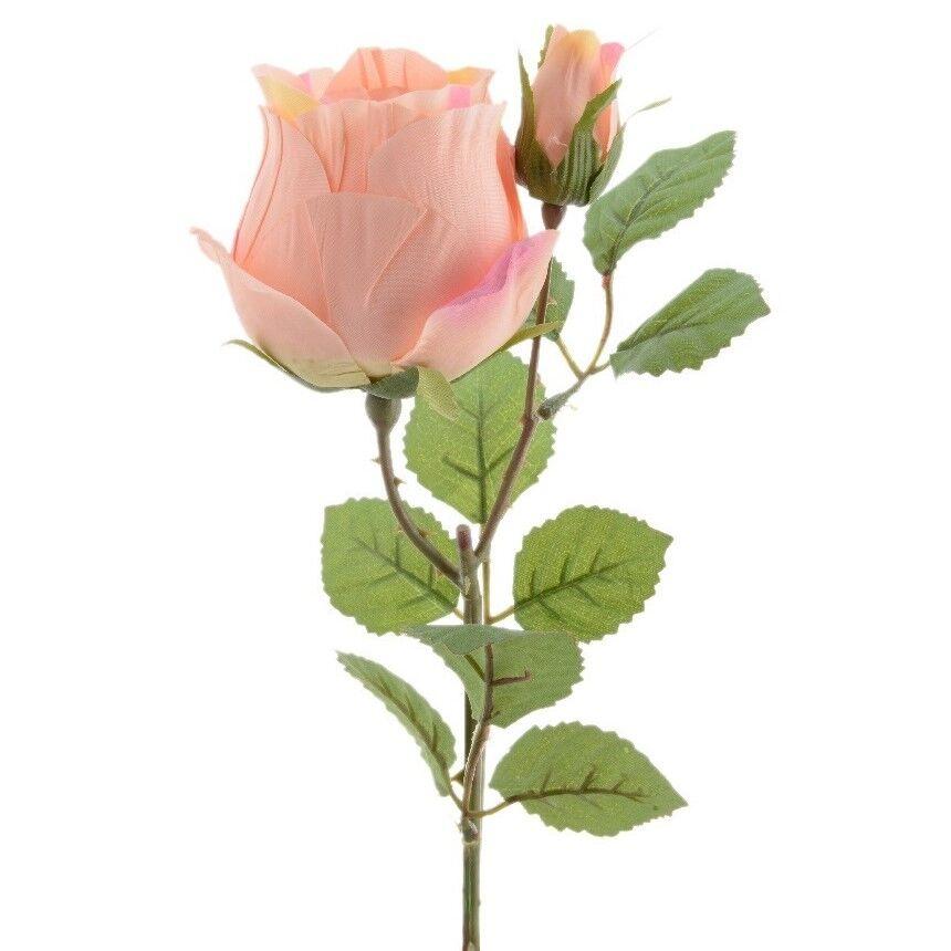 Dekorativno cvijeće, Ruža