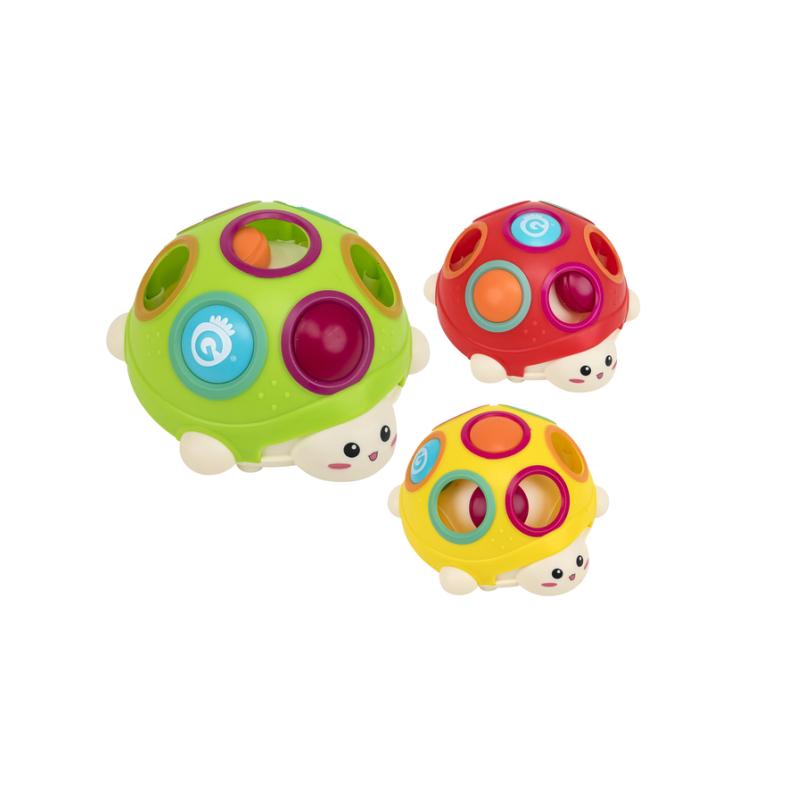 VITAMINA G  Kornjačice, Šarene