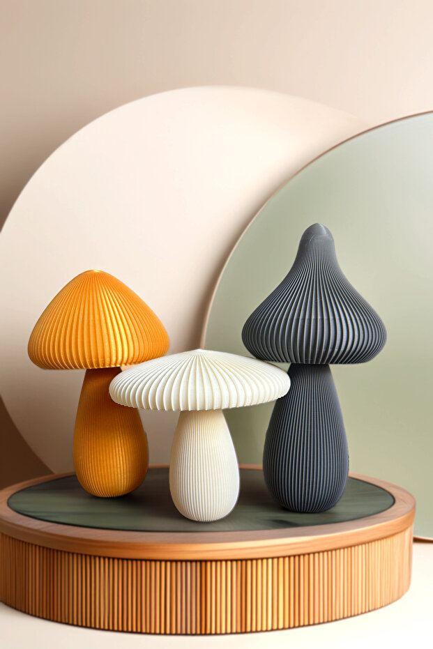 Aberto Design Set gljiva, 3 dijela, šareni