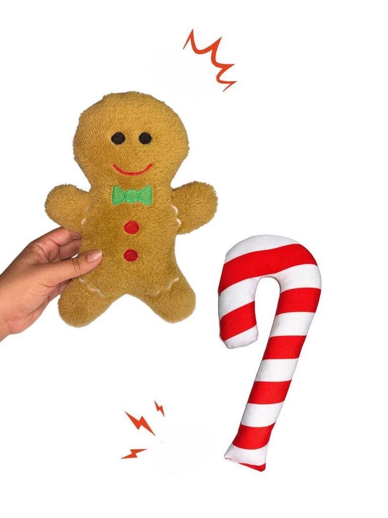 Set igračaka za pse Paws & Whiskers Havhav 1021, 2 dijela, šarene