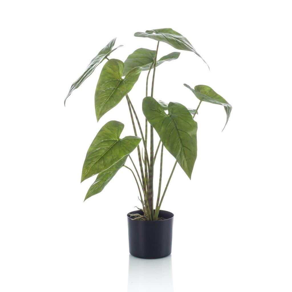 Veštačko cvijeće Aldaksia