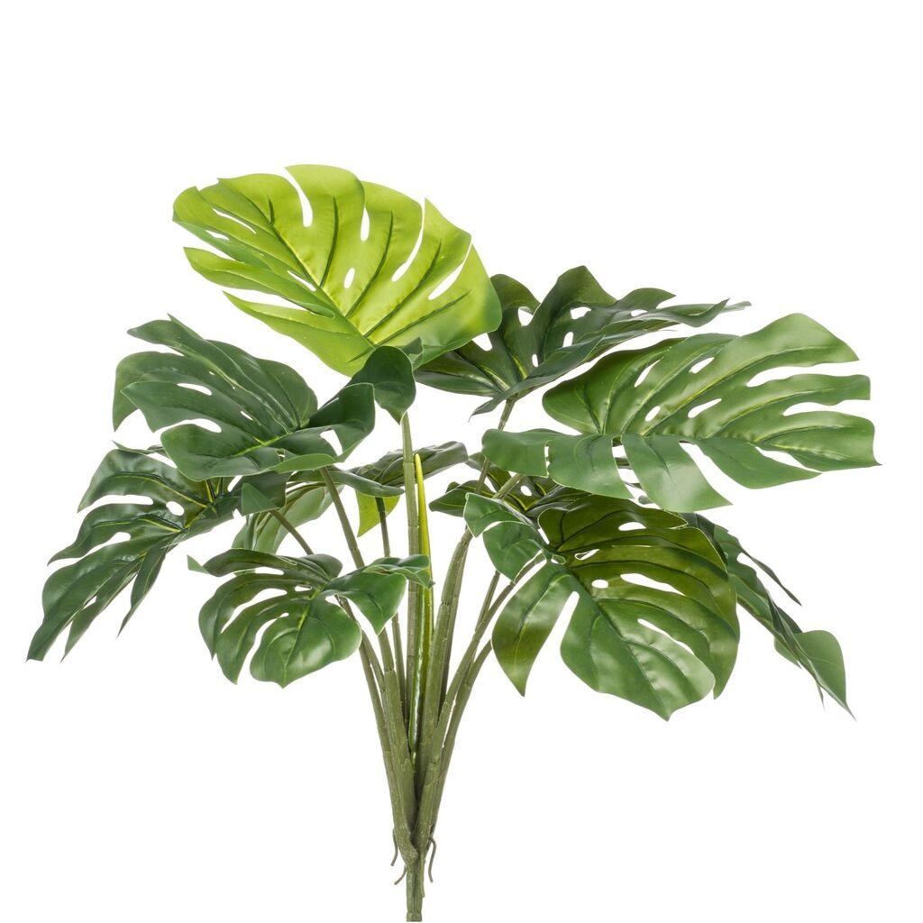 Dekorativno cvijeće Filadendron