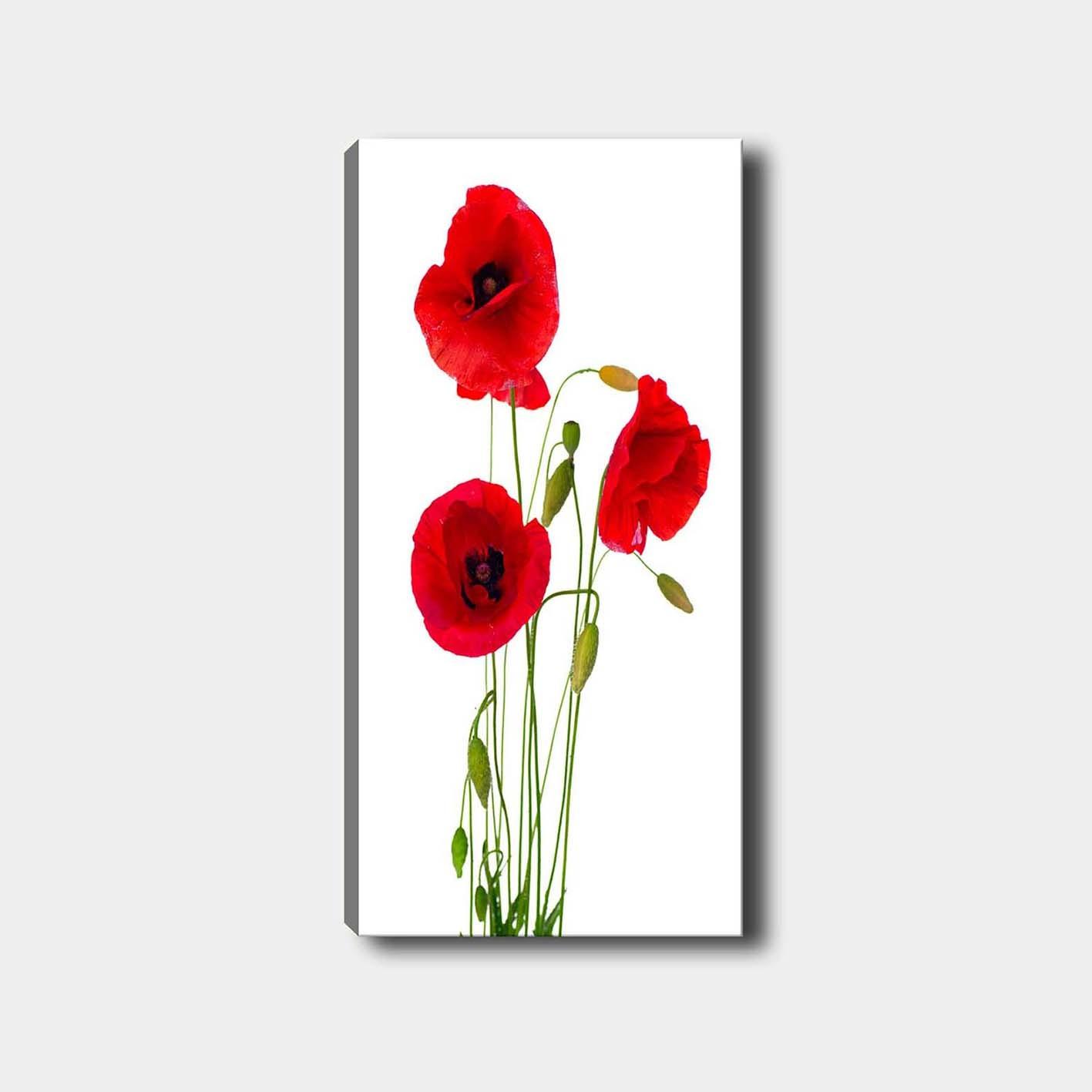 Slika na platnu Wallity 50x120cm