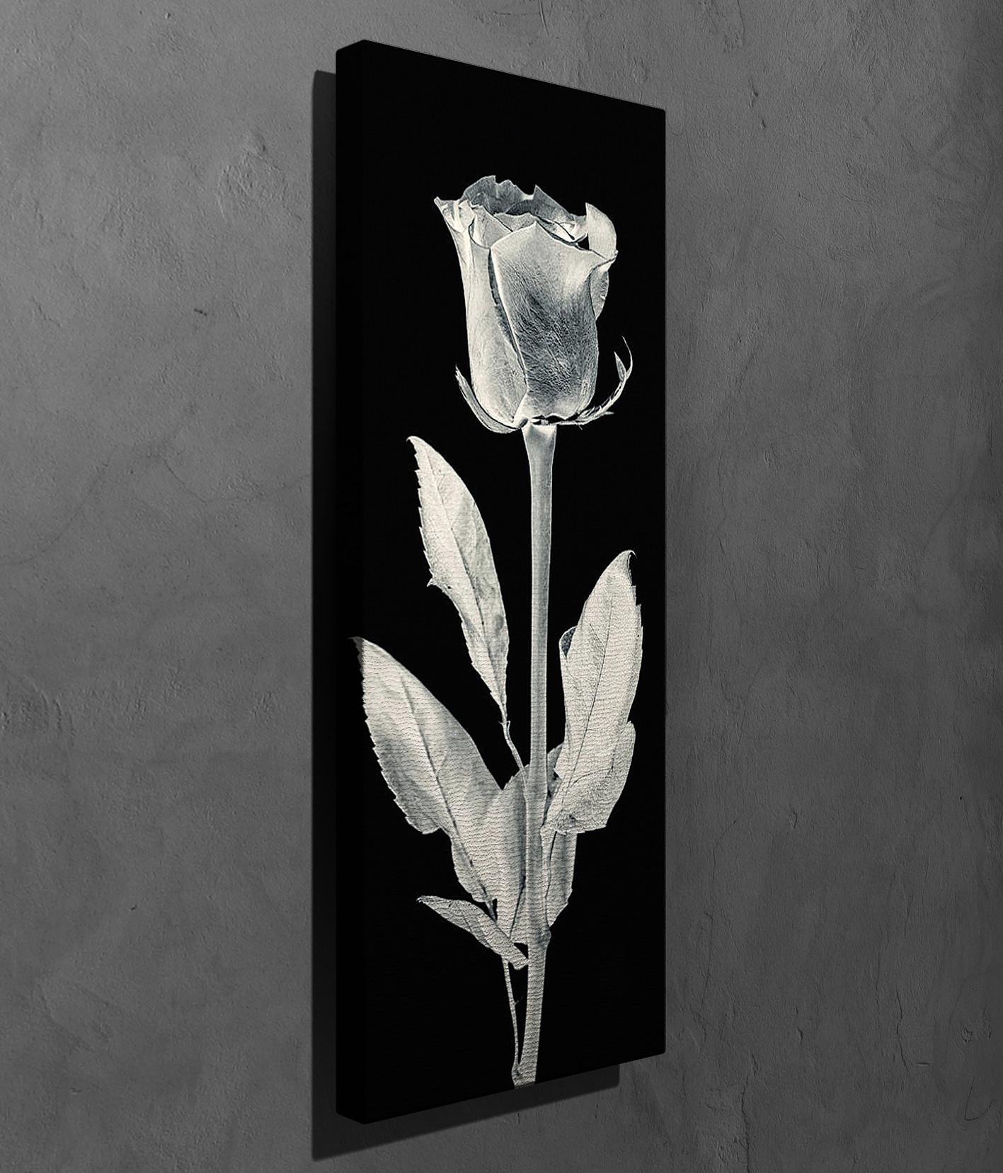 Slika na platnu Wally 30x80cm