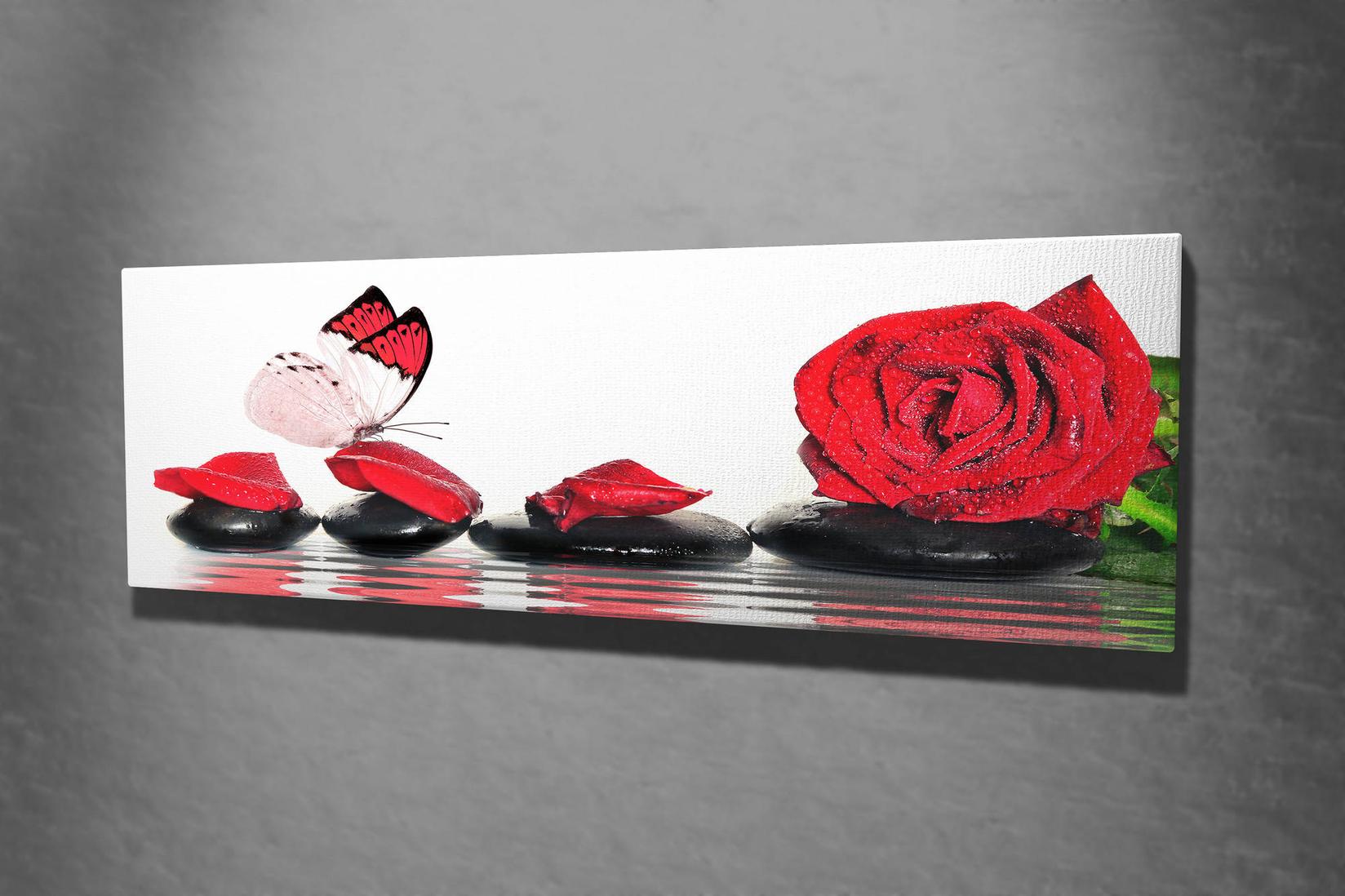 Slika na platnu Wally 30x80cm