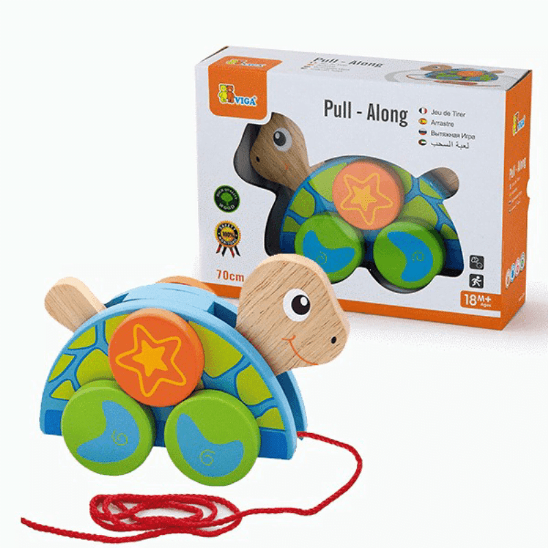 Viga Drvena igračka Kornjača, Zeleno-plava