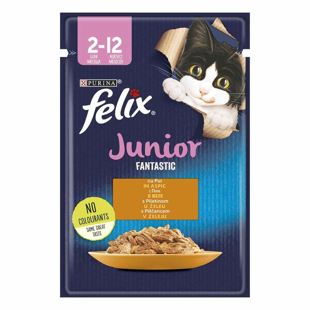 Felix Fantastic Hrana za mačke Junior, 85 g