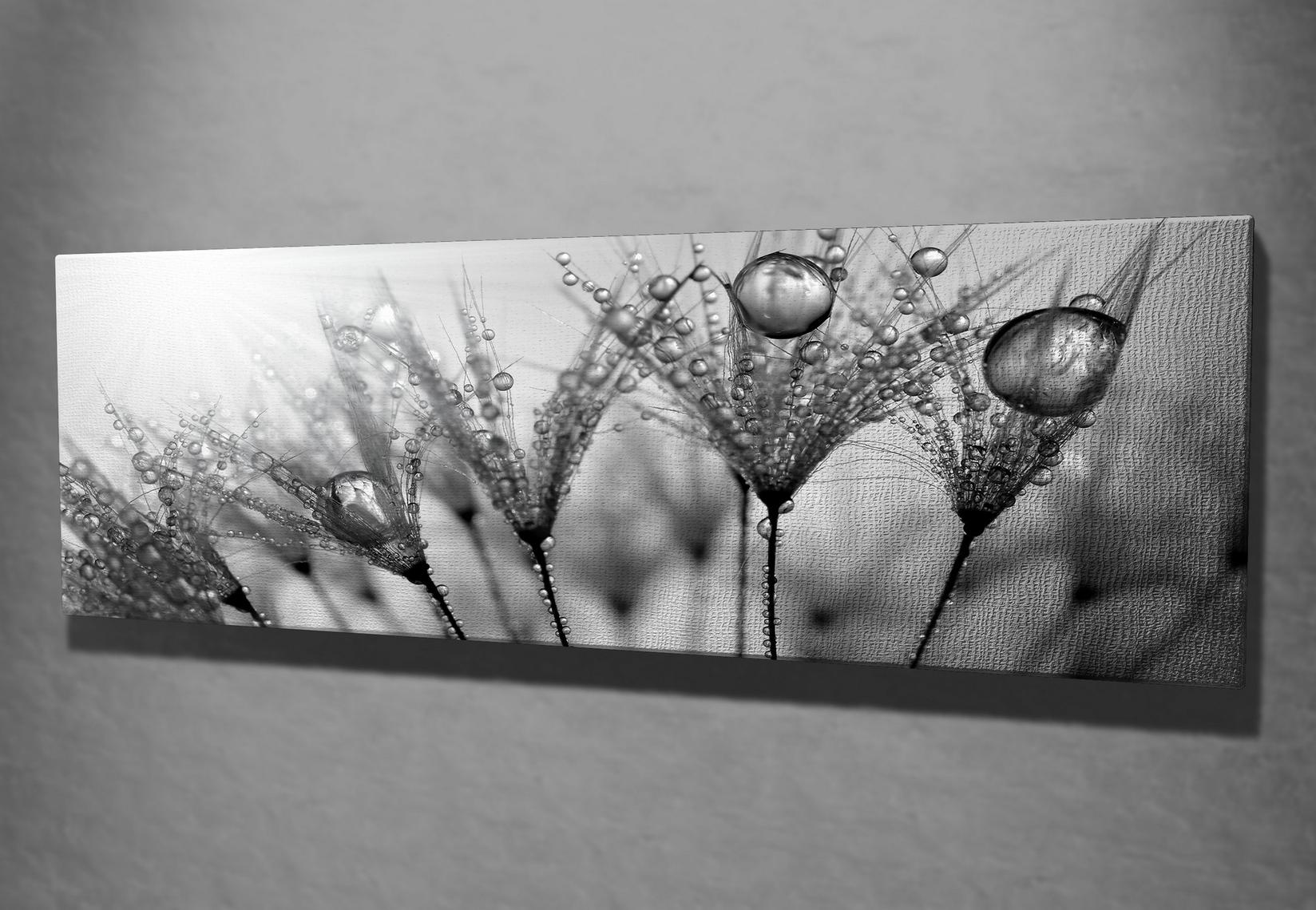 Slika na platnu Wally 30x80cm