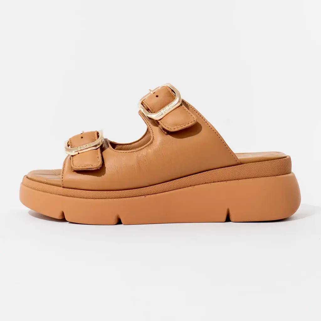 Scholl Bali Buckle ženske Papuče,Smeđe