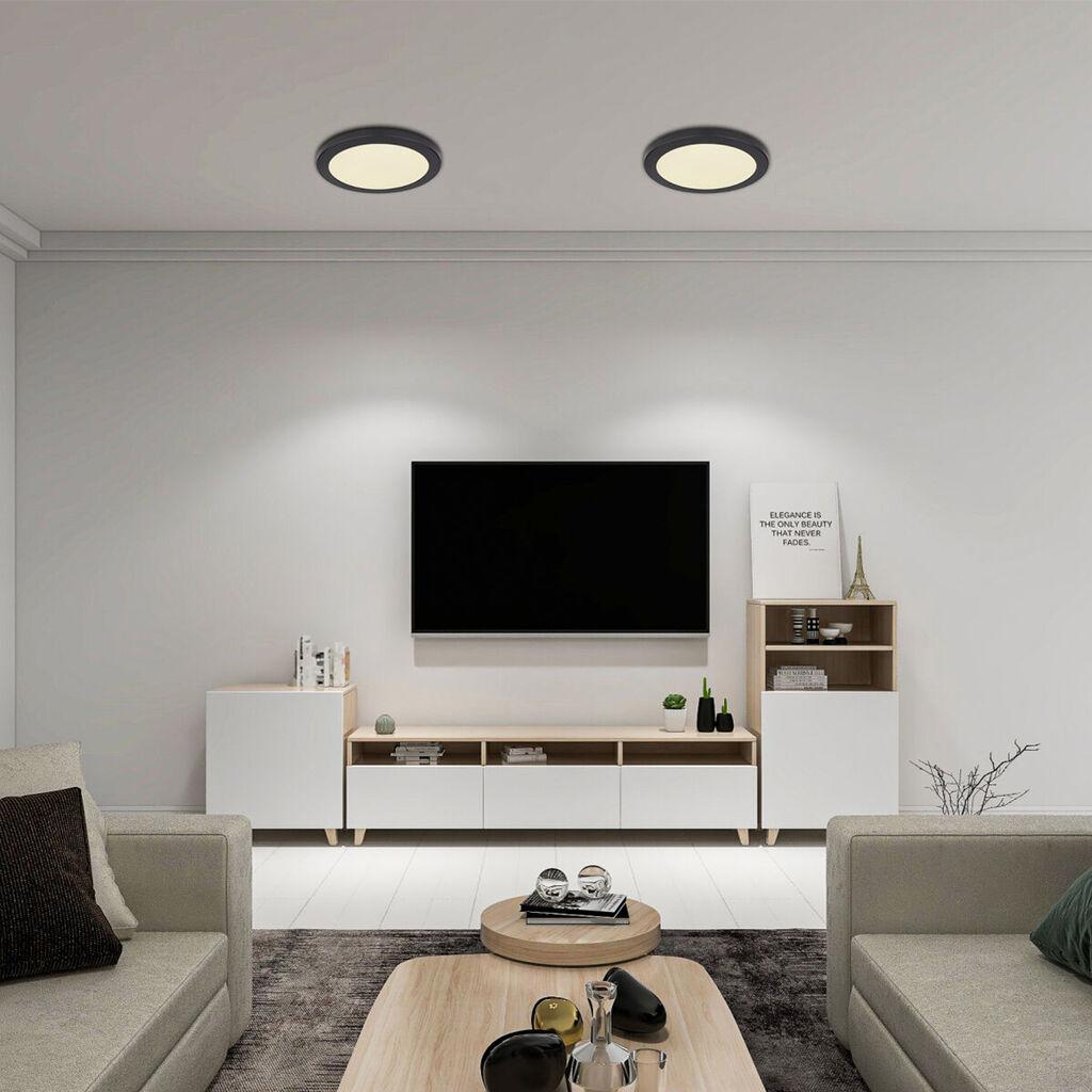 Globo Lighting Plafonjera Lasse 12379-24B, 24W